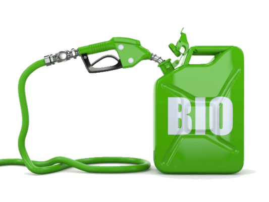 Производство и продажа биодизельного топлива